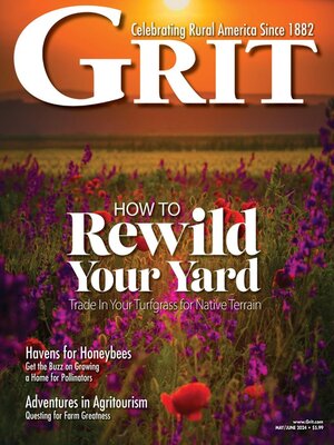 cover image of Grit